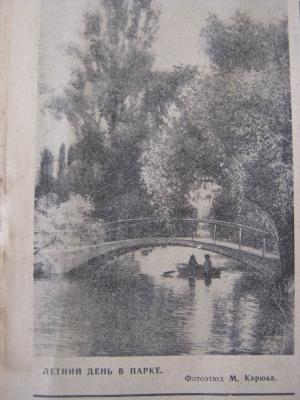 Прикрепленное изображение: IMG_3413.JPG